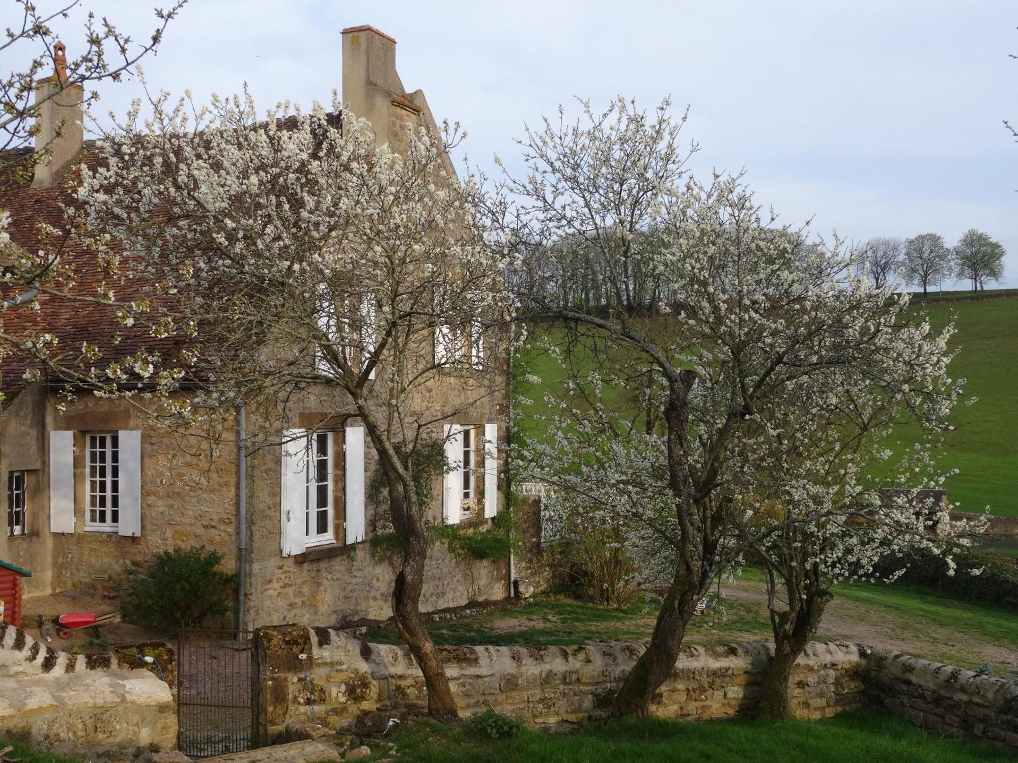 לינה וארוחת בוקר Anthien Domaine De Dremont מראה חיצוני תמונה