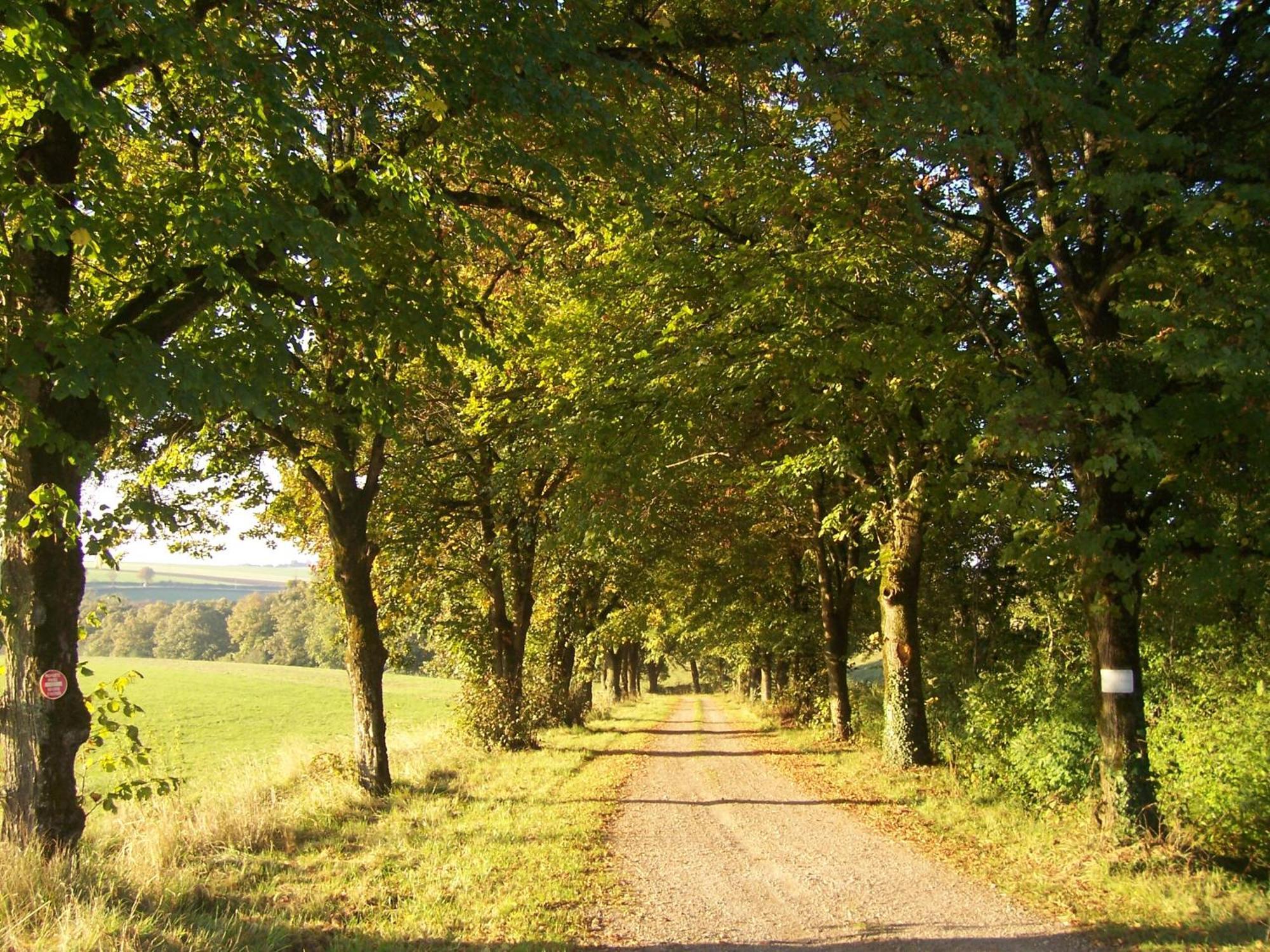 לינה וארוחת בוקר Anthien Domaine De Dremont מראה חיצוני תמונה