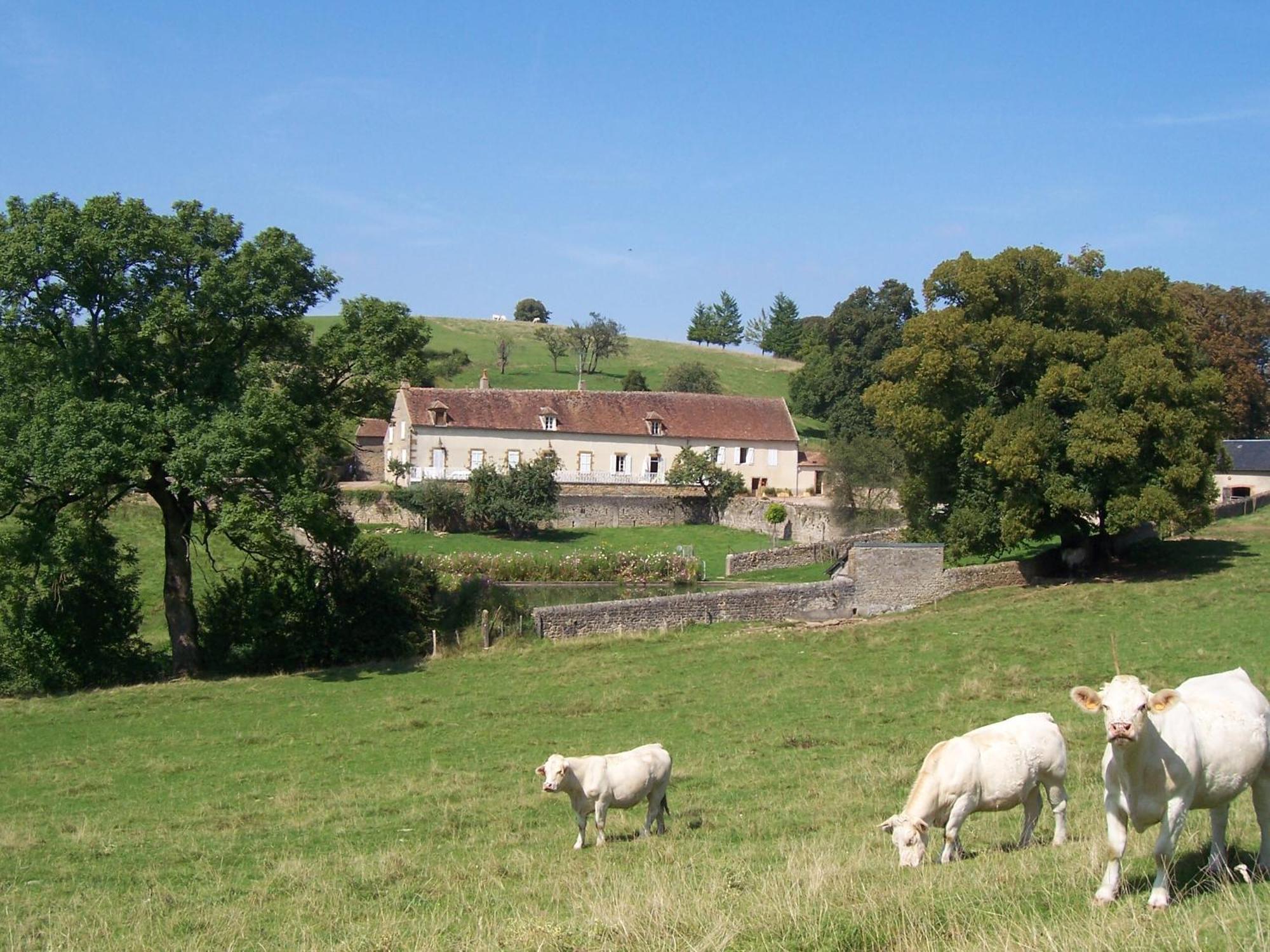 לינה וארוחת בוקר Anthien Domaine De Dremont מראה חיצוני תמונה